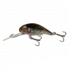 3D Goby Crank PHP