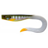 Dexter eel 210