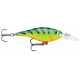 X-light Shad